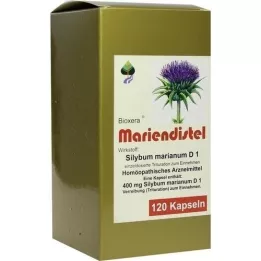 MARIENDISTEL BIOXERA Kapselln, 120 ks