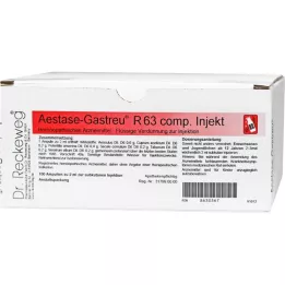 AESTASE-Gastreu R63 comp Injekční ampule, 100X2 ml