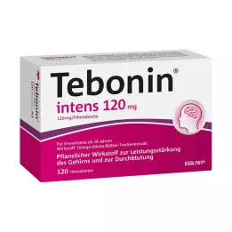 TEBONIN intens 120 mg potahované tablety, 120 ks