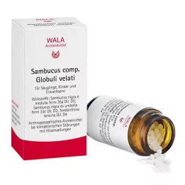 SAMBUCUS COMP Globuli, 20 g