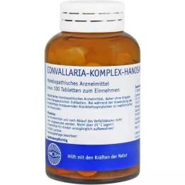 CONVALLARIA KOMPLEX tablety Hanosanu, 100 ks