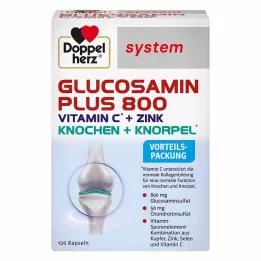 DOPPELHERZ Kapsle systému Glucosamine Plus 800, 120 ks