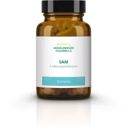 SAM S-ADENOSYLMETHIONIN kapsle, 60 ks