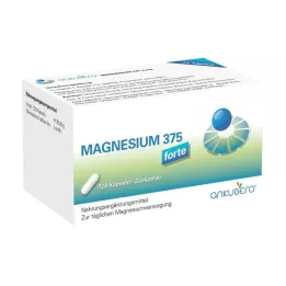 MAGNESIUM 375 kapslí forte, 120 ks