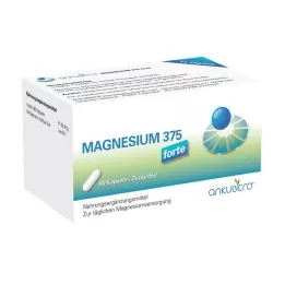 Magnesium 375 Forte kapsle, 60 ks