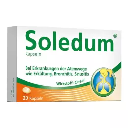 SOLEDUM Kapsle junior 100 mg, 20 ks
