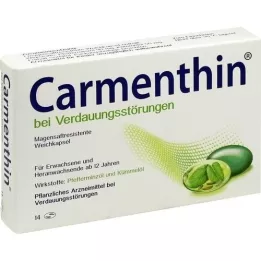 CARMENTHIN V případě poruch trávení MSR.WERBKAPS., 14 ks