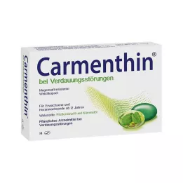 CARMENTHIN pro poruchy trávení msr.Měkké kapsle, 14 ks