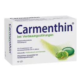 CARMENTHIN pro poruchy trávení msr.Měkké kapsle, 42 ks