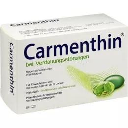 CARMENTHIN V případě poruch trávení MSR.WERBKAPS., 84 ks
