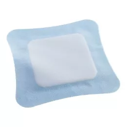 VLIWASORB Pro superabsorpční komp. sterilní 22x22 cm, 10 ks