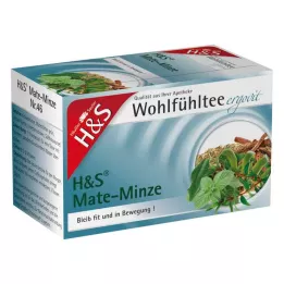 H&amp;S Mate Mint Filter Bag, 20 ks