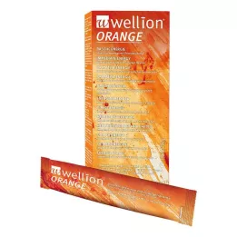 Wellnion InverTuckers IRUP Taška Oranžová chuť, 10x13 ml