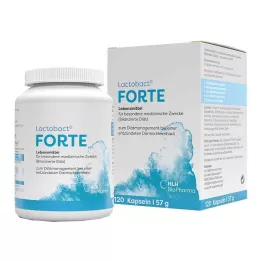LACTOBACT Forte gastrorezistentní kapsle, 120 ks