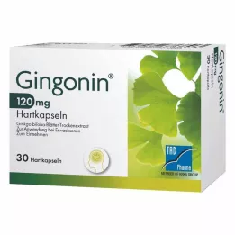 GINGONIN 120 mg tvrdé tobolky, 30 ks