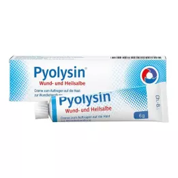 PYOLYSIN Mast na hojení ran, 6 g