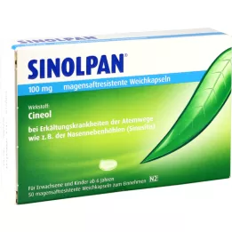 SINOLPAN 100 mg žaludečních měkkých tobolek, 50 ks