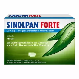 SINOLPAN forte 200 mg enterosolventní měkké tobolky, 50 ks