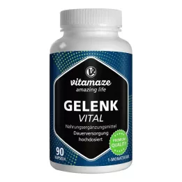 GELENK VITAL kapsle, 90 ks