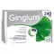 GINGIUM 240 mg potahované tablety, 120 ks