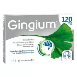 GINGIUM 120 mg potahované tablety, 30 ks