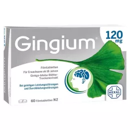 GINGIUM 120 mg potahované tablety, 60 ks