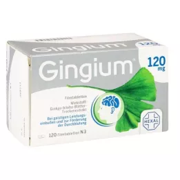 GINGIUM 120 mg filmových tablet, 120 ks