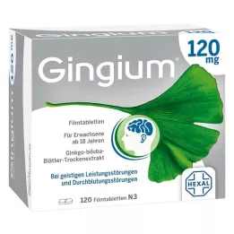 GINGIUM 120 mg potahované tablety, 120 ks