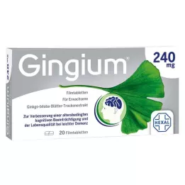 GINGIUM 240 mg potahované tablety, 20 ks