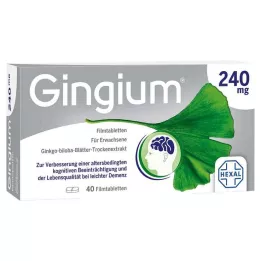 GINGIUM 240 mg potahované tablety, 40 ks