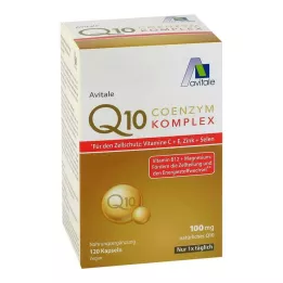 COENZYM Q10 100 mg kapsle+vitamíny+minerály, 120 ks