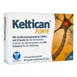 KELTICAN kapsle forte, 80 ks