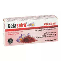 CEFASAFRA Tvrdé tobolky, 50 ks