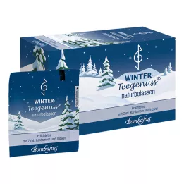 WINTER-TEEGENUSS Zázvorové filtrační sáčky se skořicí a kardamomem, 20 x 2,5 g