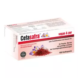 CEFASAFRA Tvrdé tobolky, 100 ks