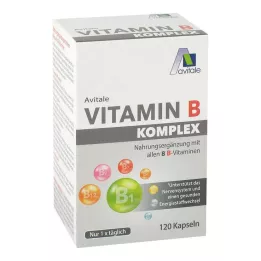 VITAMIN B KOMPLEX kapsle, 120 ks