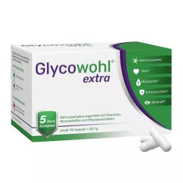 GLYCOWOHL kapsle navíc, 90 ks
