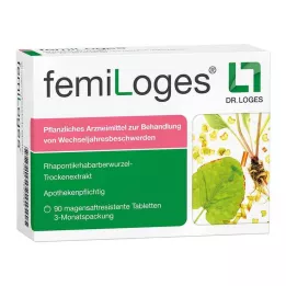 FEMILOGES gastrorezistentní tablety, 90 ks