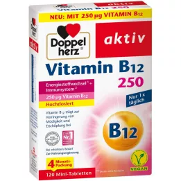 Doppelherz Aktivní vitamin B12 250 μg, 120 ks