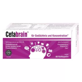 CEFABRAIN Tvrdé tobolky, 60 ks