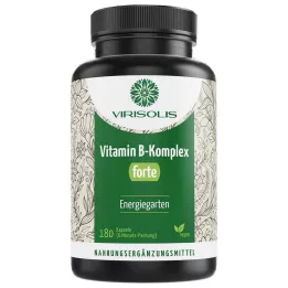 VIRISOLIS Vitamín B komplex FORTE 6měsíční veganské kapsle, 180 ks