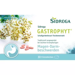 SIDROGA GastroPhyt 250 mg potahované tablety, 30 ks