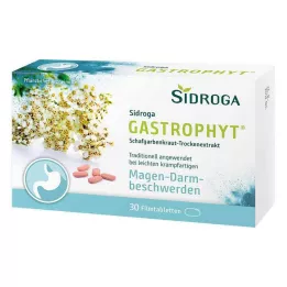 SIDROGA GastroPhyt 250 mg potahované tablety, 30 ks