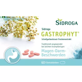 SIDROGA GastroPhyt 250 mg potahované tablety, 60 ks