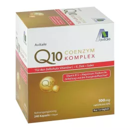 COENZYM Q10 100 mg kapsle+vitamíny+minerály, 240 ks