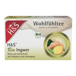 H&S Bio zázvorové filtrační sáčky, 20X2 g