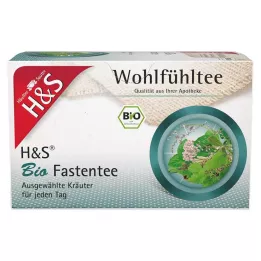 H&S Organické filtrační sáčky na půst na čaj, 20X1,5g