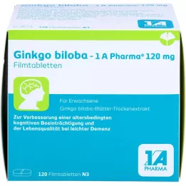 GINKGO BILOBA-1A Pharma 120 mg potahované tablety, 120 ks