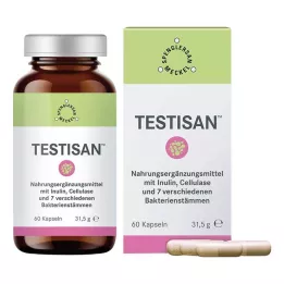TESTISAN kapsle, 60 ks