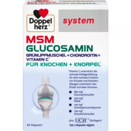 DOPPELHERZ MSM Glukosaminové systémové tobolky, 60 ks